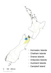 Veronica gibbsii distribution map based on databased records at AK, CHR & WELT.
 Image: K.Boardman © Landcare Research 2022 CC-BY 4.0